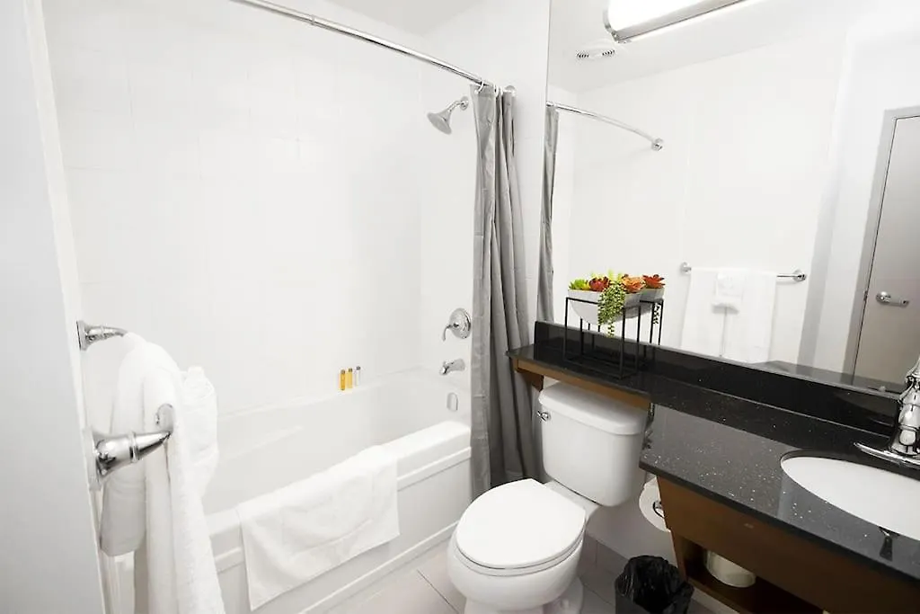 Beautiful Downtown Studio Apartment With Parking Winnipeg 0*,